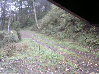 長野県菅平高原 ゆたか山荘 東側(坂下) 2025/10/13 10:00