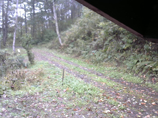 長野県菅平高原 ゆたか山荘 東側(坂下) 2025/10/13 10:15