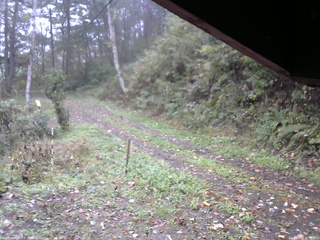 長野県菅平高原 ゆたか山荘 東側(坂下) 2025/10/13 10:30