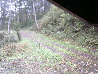 長野県菅平高原 ゆたか山荘 東側(坂下) 2025/10/13 10:45