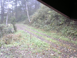 長野県菅平高原 ゆたか山荘 東側(坂下) 2025/10/13 11:00