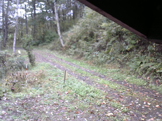 長野県菅平高原 ゆたか山荘 東側(坂下) 2025/10/13 11:15