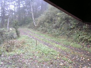 長野県菅平高原 ゆたか山荘 東側(坂下) 2025/10/13 11:30