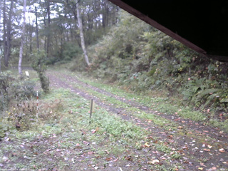 長野県菅平高原 ゆたか山荘 東側(坂下) 2025/10/13 11:45