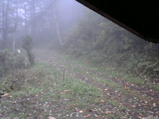 長野県菅平高原 ゆたか山荘 東側(坂下) 2025/10/13 16:15