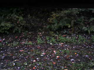 長野県菅平高原 ゆたか山荘 南側 2025/10/14 05:45