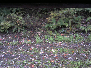 長野県菅平高原 ゆたか山荘 南側 2025/10/14 06:00