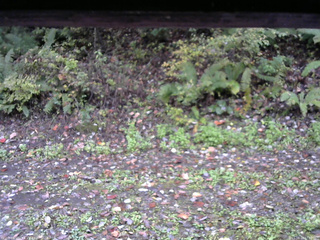 長野県菅平高原 ゆたか山荘 南側 2025/10/14 07:30