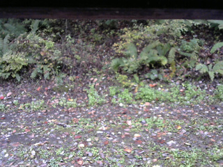 長野県菅平高原 ゆたか山荘 南側 2025/10/14 08:00