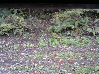 長野県菅平高原 ゆたか山荘 南側 2025/10/14 08:45