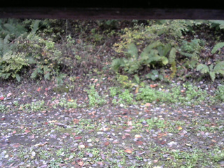 長野県菅平高原 ゆたか山荘 南側 2025/10/14 09:00