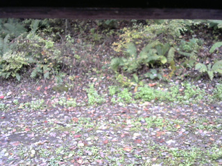 長野県菅平高原 ゆたか山荘 南側 2025/10/14 09:15