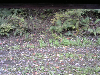 長野県菅平高原 ゆたか山荘 南側 2025/10/14 09:30