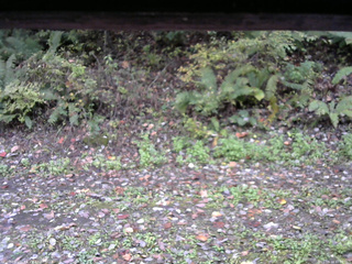 長野県菅平高原 ゆたか山荘 南側 2025/10/14 10:00