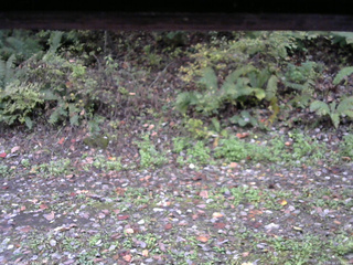 長野県菅平高原 ゆたか山荘 南側 2025/10/14 11:00