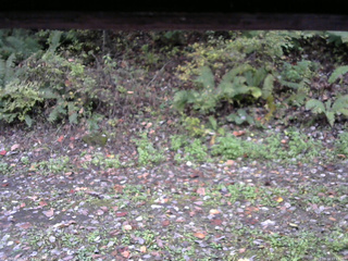 長野県菅平高原 ゆたか山荘 南側 2025/10/14 11:15