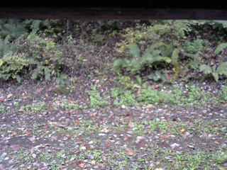 長野県菅平高原 ゆたか山荘 南側 2025/10/14 11:45