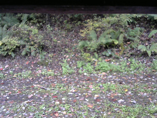 長野県菅平高原 ゆたか山荘 南側 2025/10/14 12:00