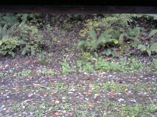 長野県菅平高原 ゆたか山荘 南側 2025/10/14 12:15