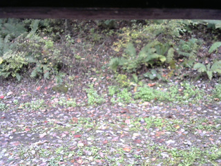 長野県菅平高原 ゆたか山荘 南側 2025/10/14 13:00