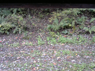 長野県菅平高原 ゆたか山荘 南側 2025/10/14 13:45