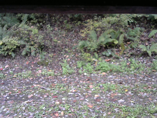 長野県菅平高原 ゆたか山荘 南側 2025/10/14 14:15