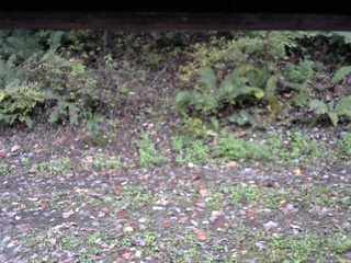 長野県菅平高原 ゆたか山荘 南側 2025/10/14 14:45