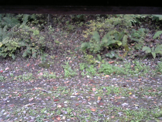 長野県菅平高原 ゆたか山荘 南側 2025/10/14 15:00