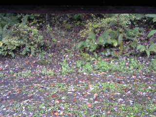 長野県菅平高原 ゆたか山荘 南側 2025/10/14 16:15