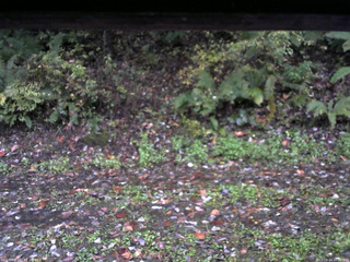 長野県菅平高原 ゆたか山荘 南側 2025/10/14 16:30