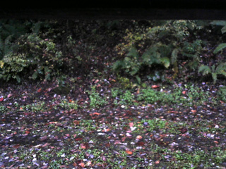 長野県菅平高原 ゆたか山荘 南側 2025/10/14 17:00