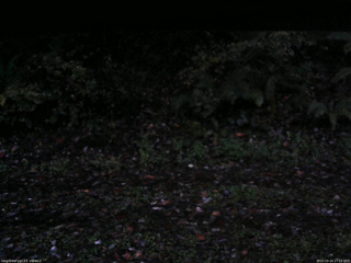 長野県菅平高原 ゆたか山荘 南側 2025/10/14 17:15