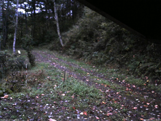 長野県菅平高原 ゆたか山荘 東側(坂下) 2025/10/14 05:45