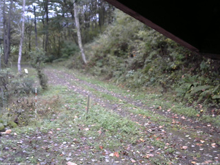 長野県菅平高原 ゆたか山荘 東側(坂下) 2025/10/14 06:30