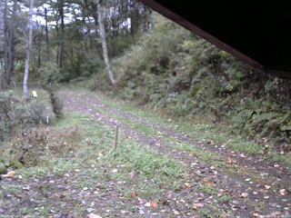 長野県菅平高原 ゆたか山荘 東側(坂下) 2025/10/14 06:45