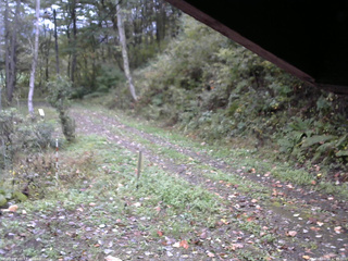 長野県菅平高原 ゆたか山荘 東側(坂下) 2025/10/14 07:15