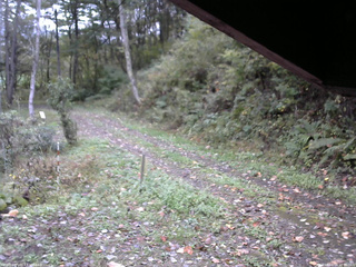長野県菅平高原 ゆたか山荘 東側(坂下) 2025/10/14 08:30