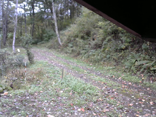 長野県菅平高原 ゆたか山荘 東側(坂下) 2025/10/14 09:00