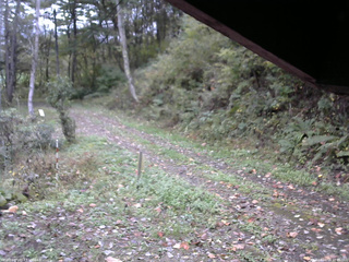 長野県菅平高原 ゆたか山荘 東側(坂下) 2025/10/14 09:45