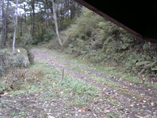 長野県菅平高原 ゆたか山荘 東側(坂下) 2025/10/14 10:15