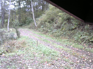 長野県菅平高原 ゆたか山荘 東側(坂下) 2025/10/14 10:45