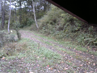 長野県菅平高原 ゆたか山荘 東側(坂下) 2025/10/14 11:15