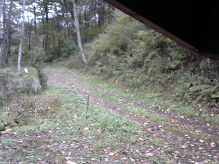 長野県菅平高原 ゆたか山荘 東側(坂下) 2025/10/14 11:45