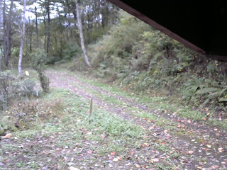 長野県菅平高原 ゆたか山荘 東側(坂下) 2025/10/14 12:45