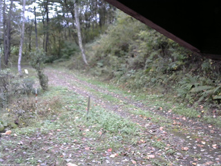 長野県菅平高原 ゆたか山荘 東側(坂下) 2025/10/14 13:15