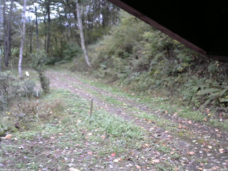 長野県菅平高原 ゆたか山荘 東側(坂下) 2025/10/14 13:30