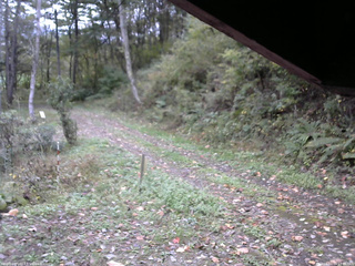 長野県菅平高原 ゆたか山荘 東側(坂下) 2025/10/14 13:45