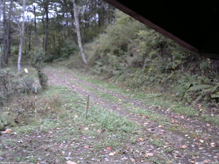 長野県菅平高原 ゆたか山荘 東側(坂下) 2025/10/14 14:15