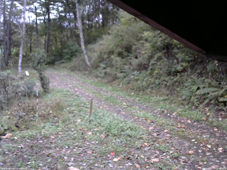 長野県菅平高原 ゆたか山荘 東側(坂下) 2025/10/14 14:30