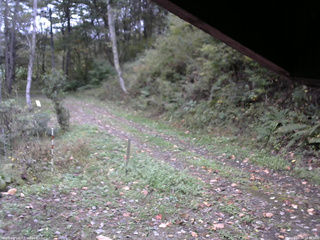 長野県菅平高原 ゆたか山荘 東側(坂下) 2025/10/14 14:45